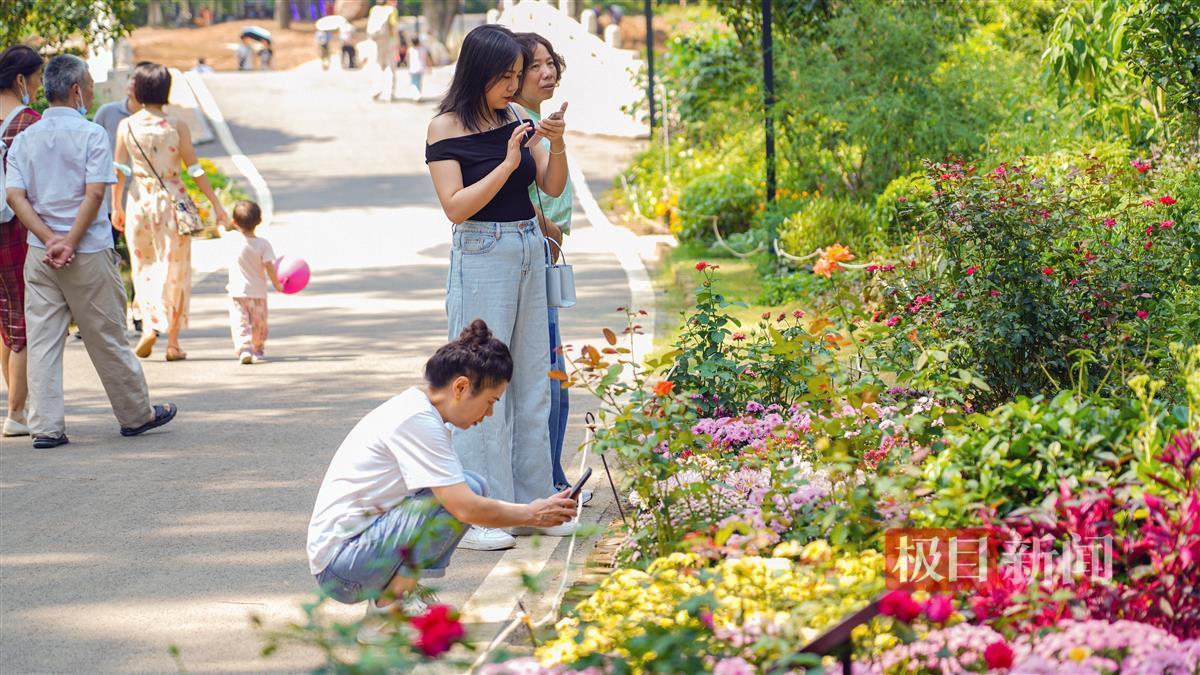 捕鱼app技巧